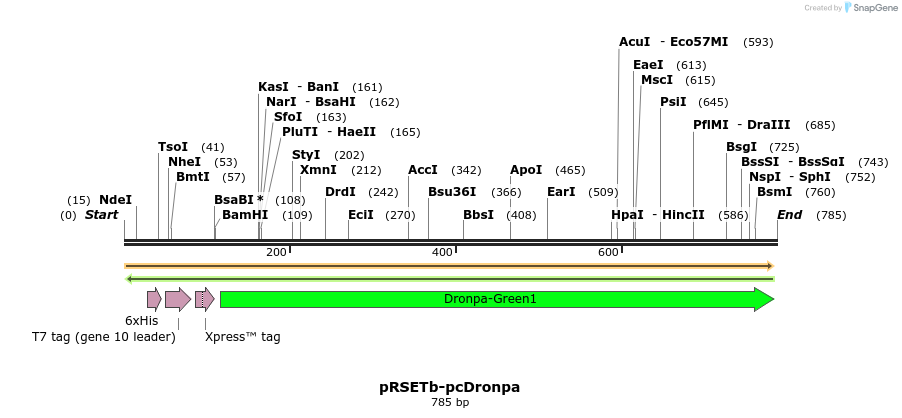148192_map