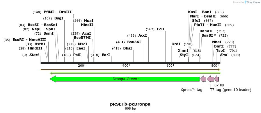 148193_map