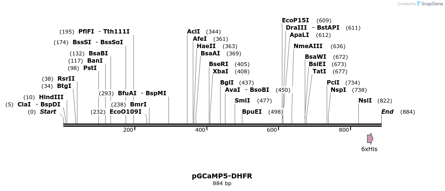 148196_map