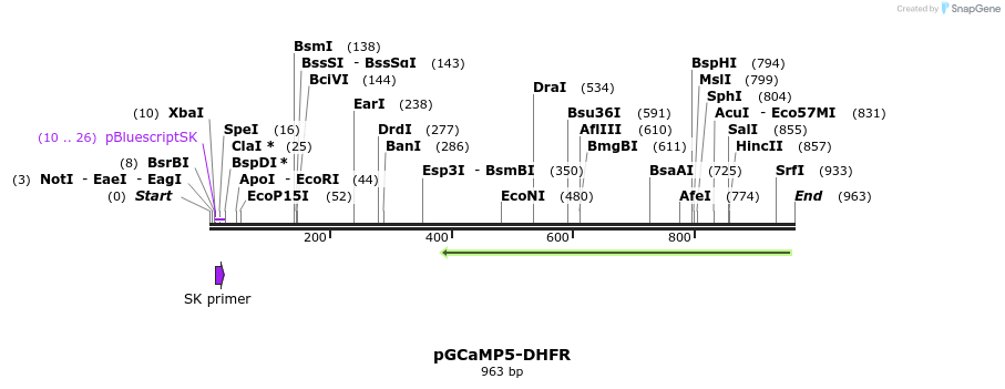148199_map