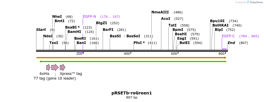 148216_map