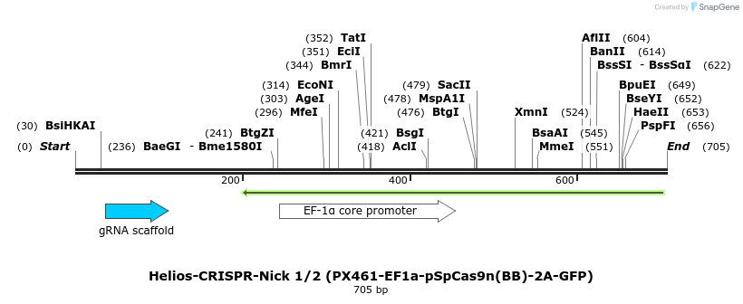 148256_map