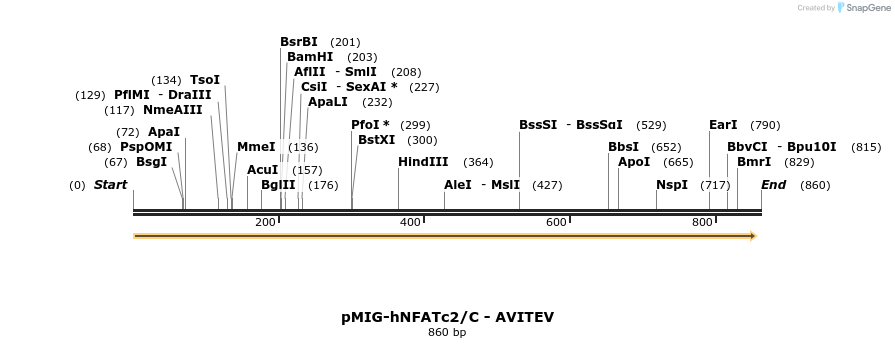 148260_map