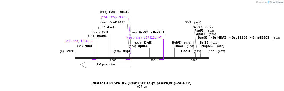 148268_map