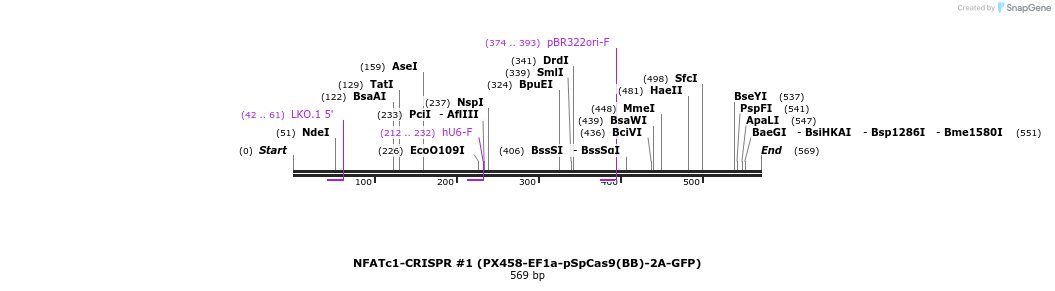 148273_map
