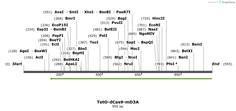 148274_map