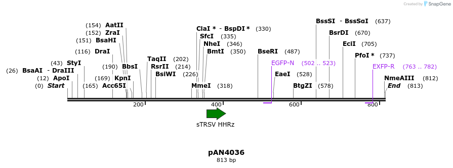 148288_map