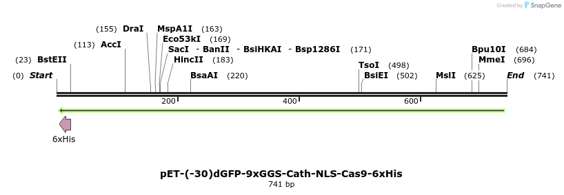 148289_map