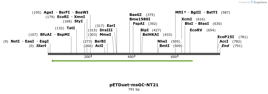 148292_map