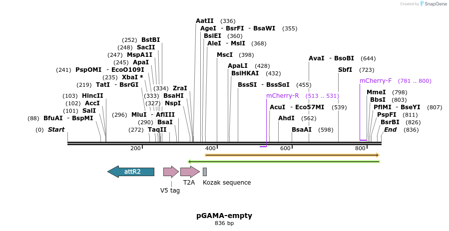 148293_map