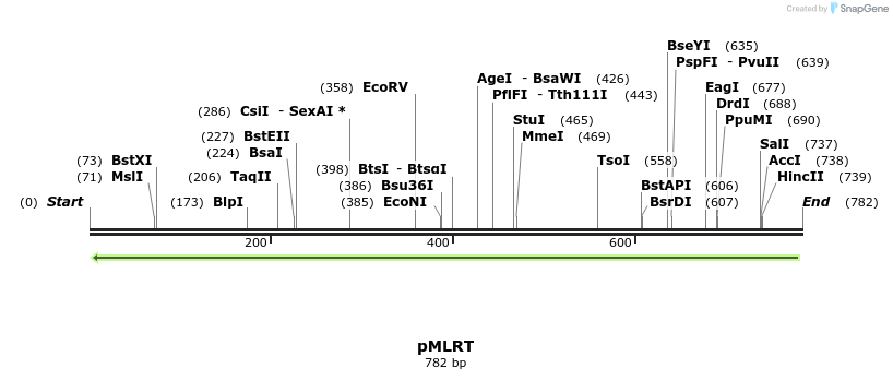 148295_map