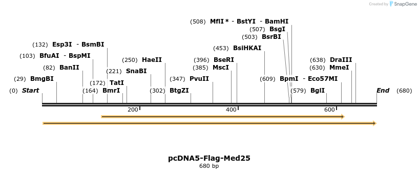 148302_map