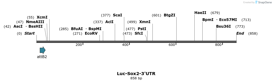 148303_map