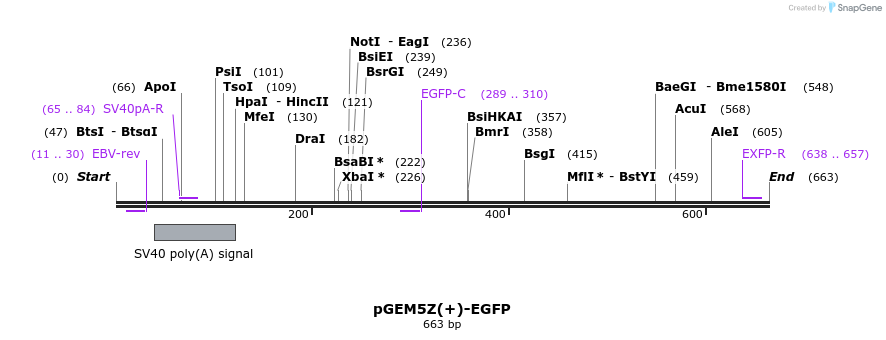 148304_map