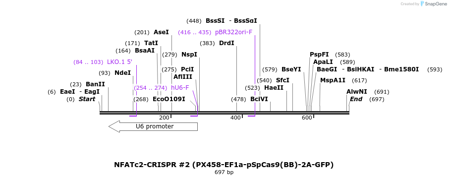 148372_map