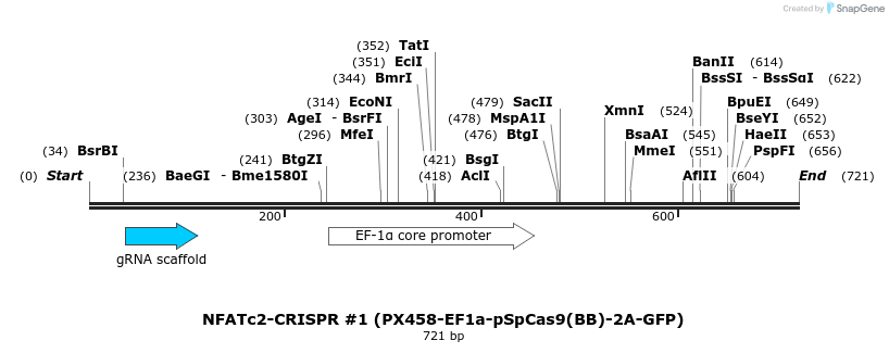 148376_map