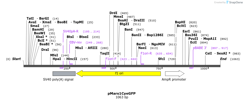 148379_map