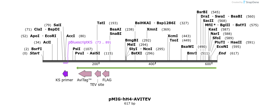 148383_map