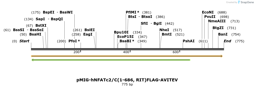 148386_map