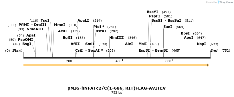 148387_map