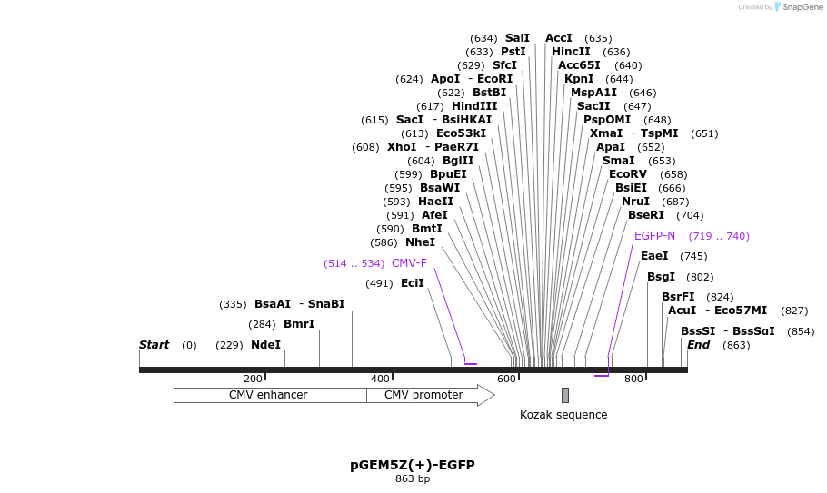 148394_map