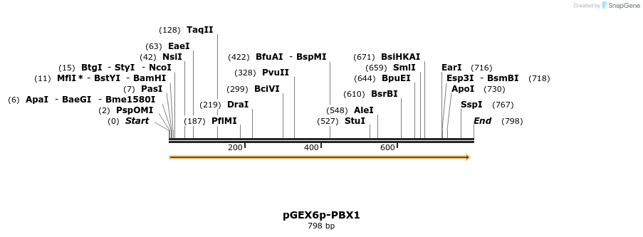 148395_map