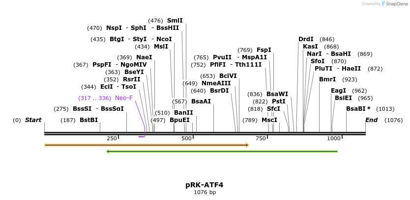 148396_map