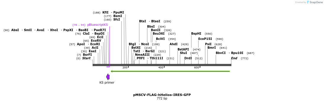 148410_map