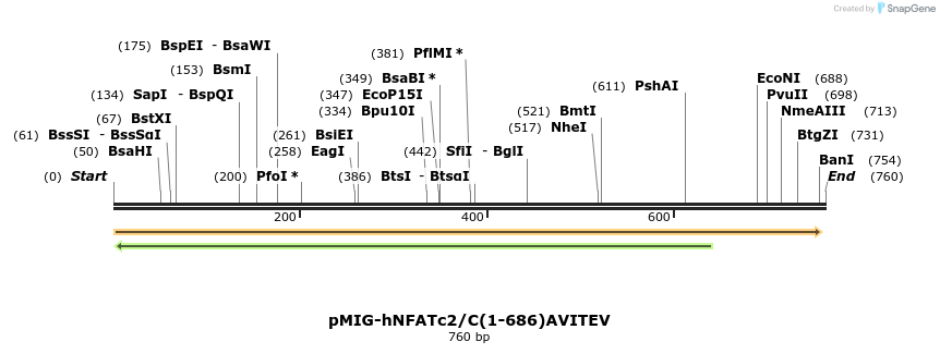 148411_map