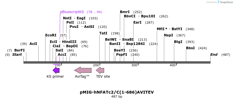 148413_map