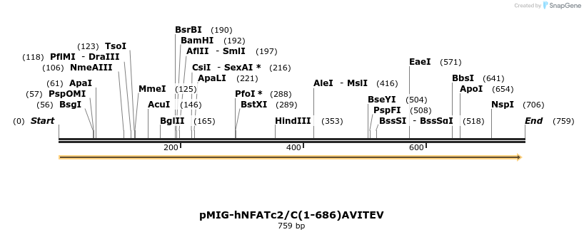148414_map