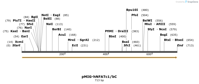 148416_map