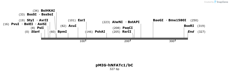 148417_map