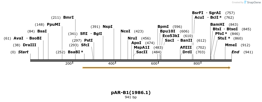 148536_map