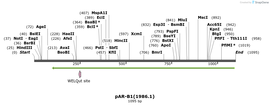 148538_map