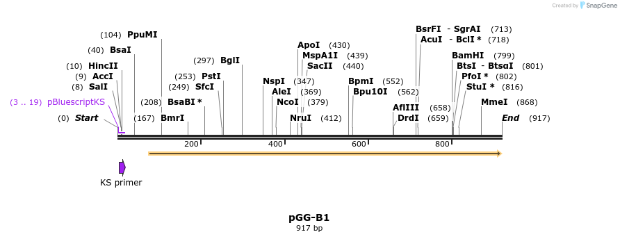 148541_map