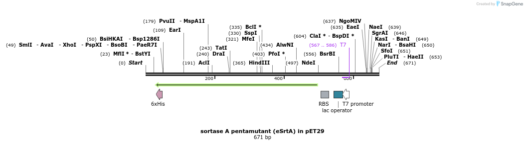 148544_map