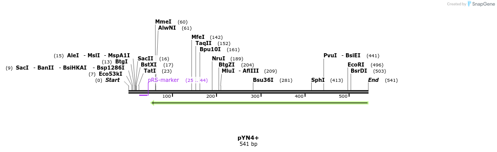148552_map