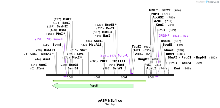 148571_map