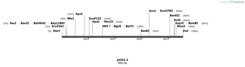 148573_map