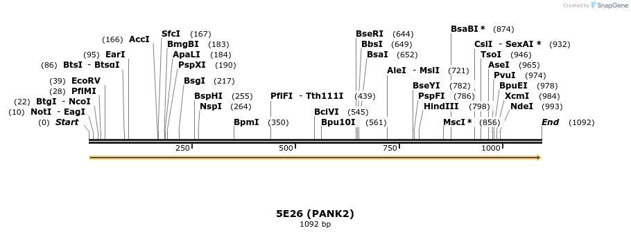 148639_map