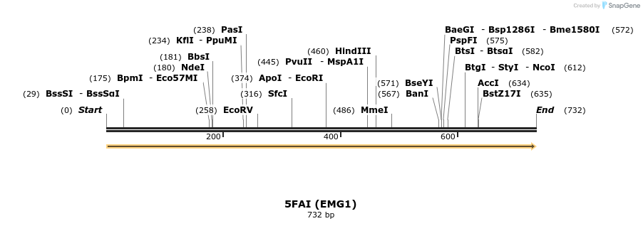 148642_map