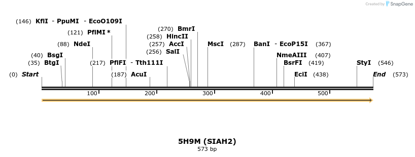 148644_map