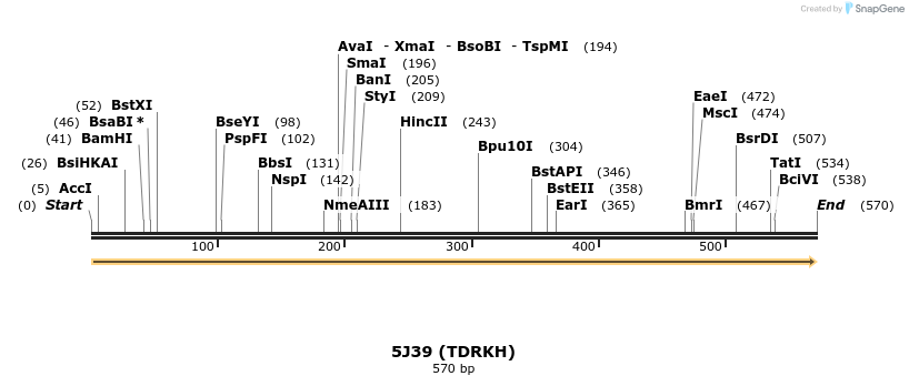 148646_map