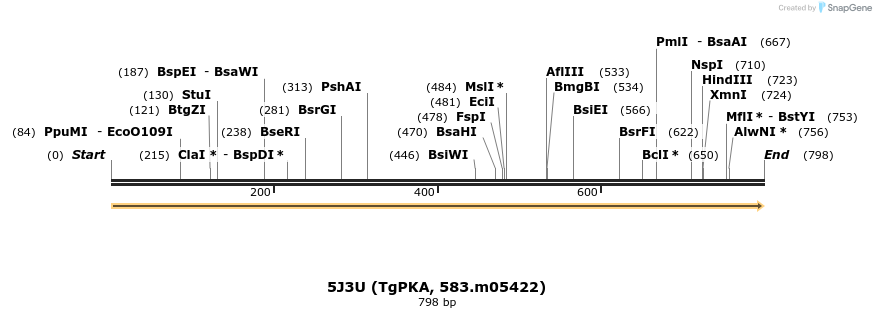 148648_map