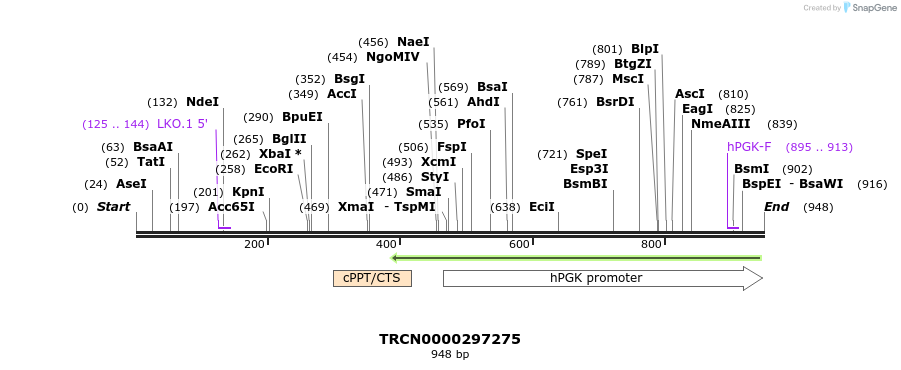 148653_map