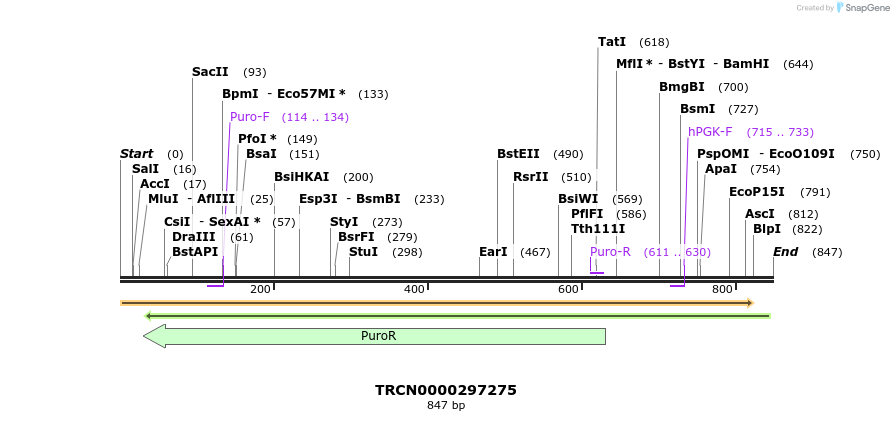 148654_map