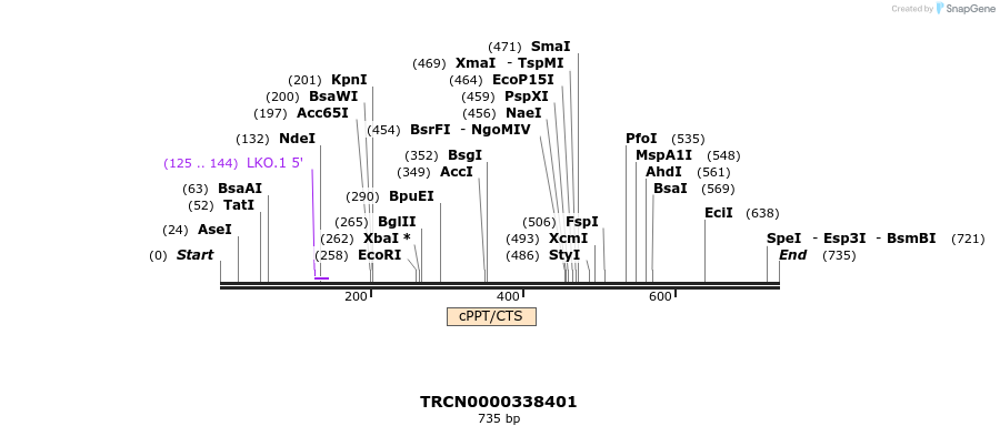 148662_map