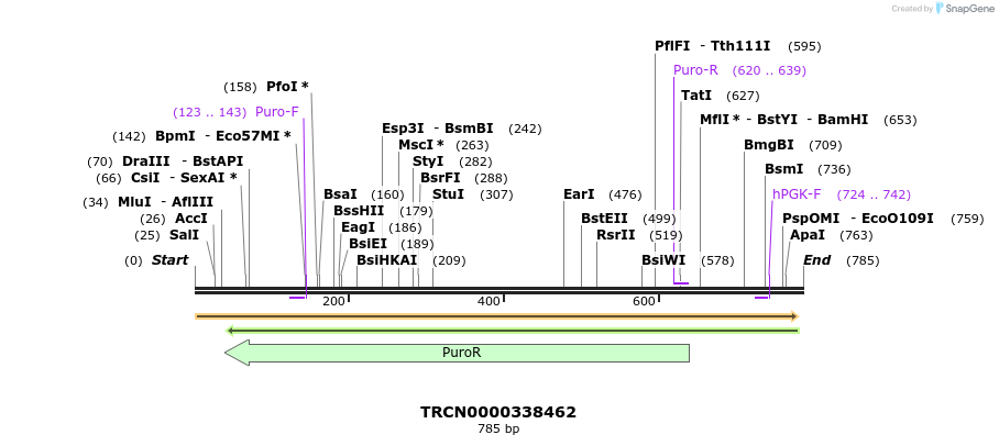 148665_map