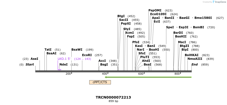 148667_map
